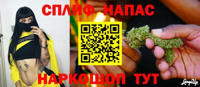 молекула духа Будённовск