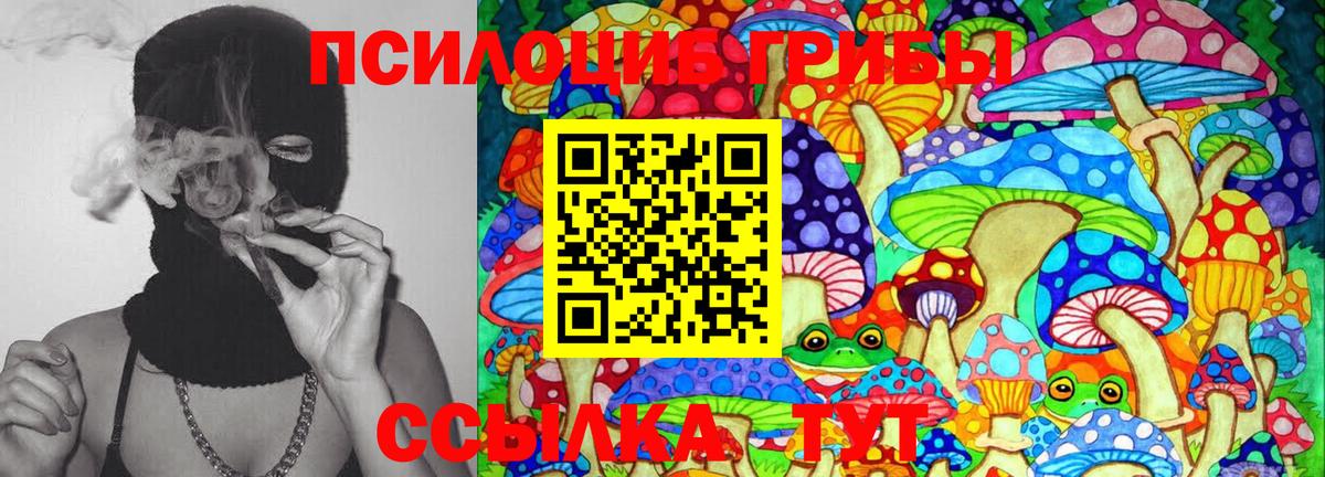 Псилоцибиновые грибы MAGIC MUSHROOMS Серов
